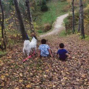 Meet your Posher, Autumn